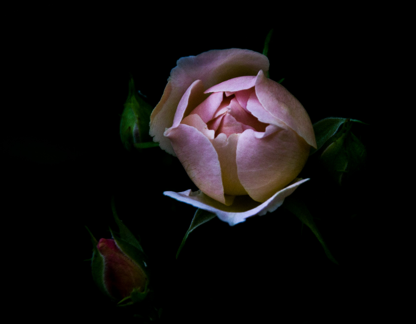 13 / 375