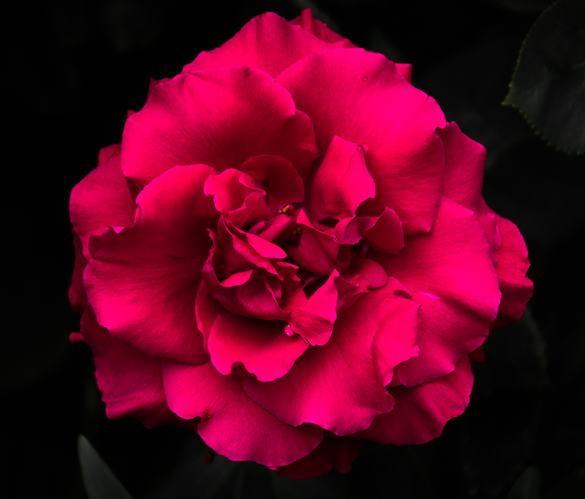 9 / 375
