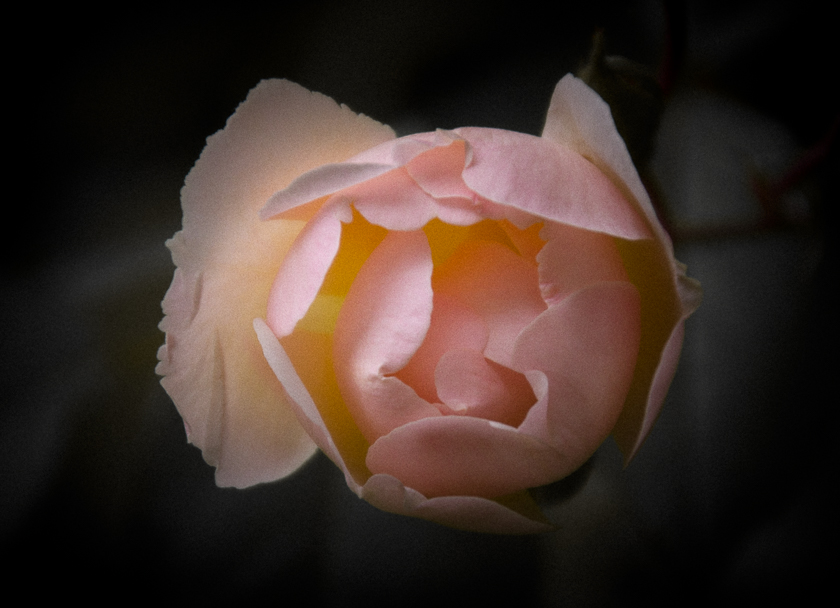 23 / 375